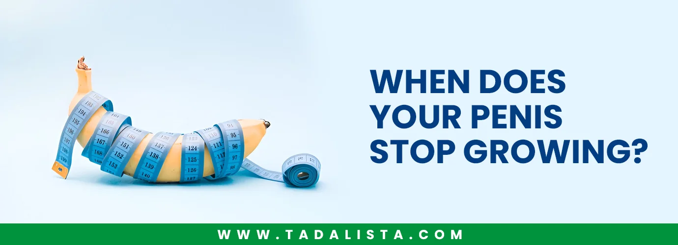 When Does Your Penis Stop Growing
