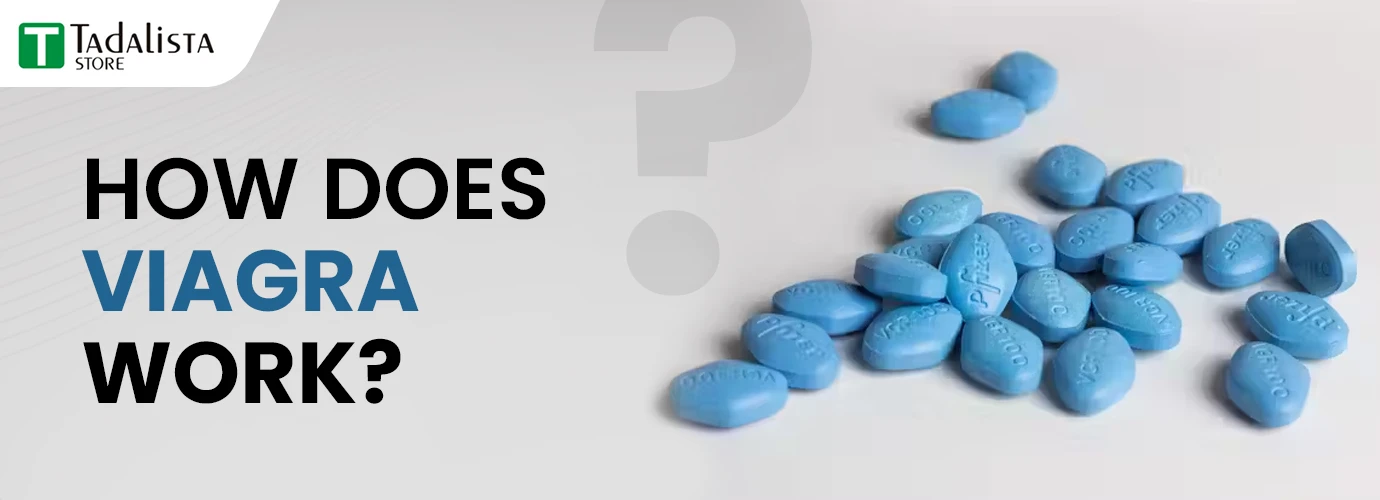 How Does Viagra Work